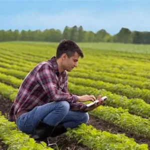 Consulenza Agronomica Personalizzata