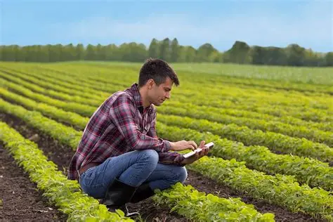 Consulenza Agronomica Personalizzata